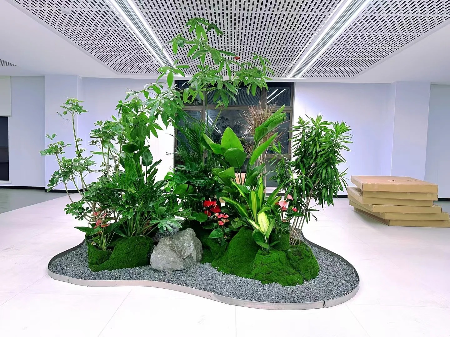 专业引领，宁波杭州湾盆景租赁的优质之选